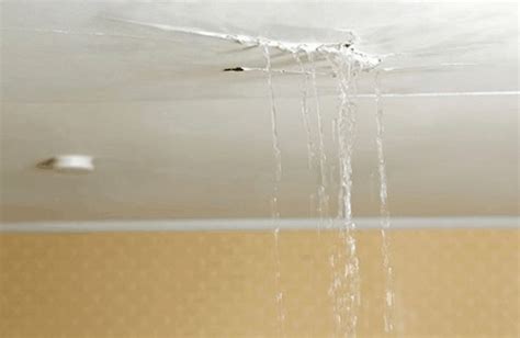 ceiling leaking after shower|Why Is Water Leaking Through the Ceiling After a。